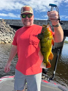 South Florida Everglades Fishing!