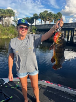South Florida Everglades Fishing!