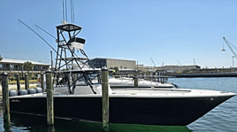 Offshore Deep Sea Fishing-Capt Joe