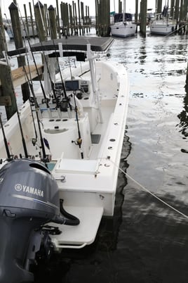 Offshore Deep Sea Fishing-Capt Joe