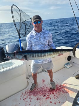 Offshore Deep Sea Fishing-Capt Joe