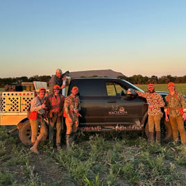 Bobwhite Quail in Mexico