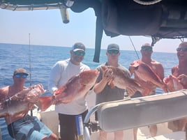 6 hour offshore trip