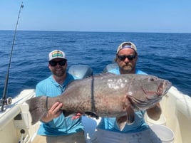 6 hour offshore trip