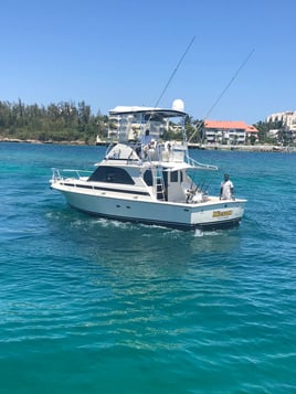 Light tackle Bottom Offshore