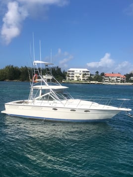 Light tackle Bottom Offshore