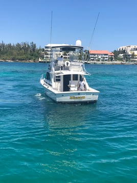 Light tackle Bottom Offshore