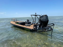 Full Day Fly Fishing/ Conventional sight fishing