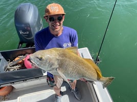 Inshore Fishing Trip Tierra Verde