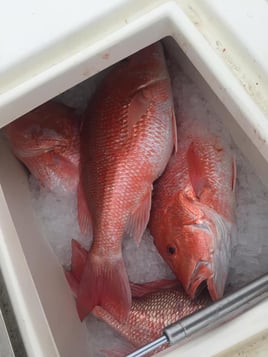 Full Day State Water Trip