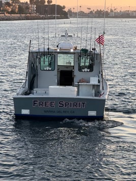 Marina Del Rey Fishing Trip