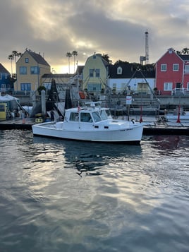 Marina del Rey Fishing Trip