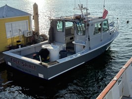 Marina Del Rey Fishing Trip