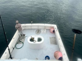 Marina del Rey Fishing Trip