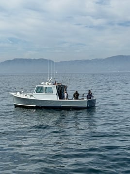 Marina Del Rey Fishing Trip