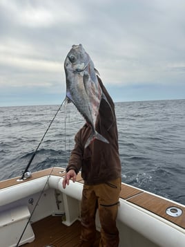 African Pompano Fishing in Destin, Florida