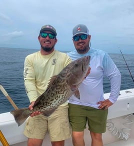 Gag Grouper Fishing in Destin, Florida
