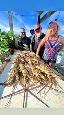 Lobster free dive trip