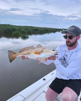 4-8 Hour Inshore -  Pathfinder Charters