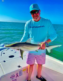 Shark Fishing Gulf of Mexico