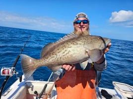 Clearwater Mixed Bag Offshore