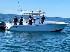 Full Day Gautier Offshore