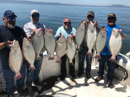 Halibut / Striper (March - October)