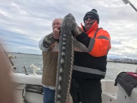 Sturgeon / Striper Trip