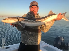 Sturgeon / Striper Trip