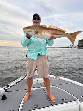 Destin Bay Charter