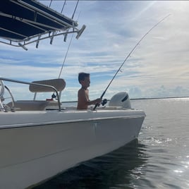 Sebastian Inlet Trips