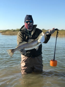 Speckled Trout Fishing in Galveston, Texas