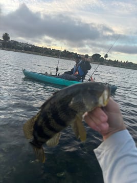 Liberty Station Kayak Fishing With A Pro