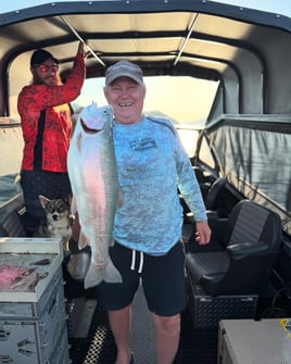 Steelhead in the Trinity River