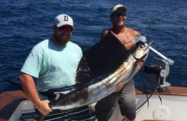 Sailfish Fishing in Wanchese, North Carolina