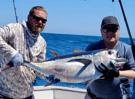 Blackfin Tuna Fishing in Wanchese, North Carolina
