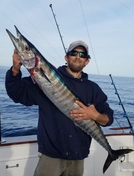 Wahoo Fishing in Wanchese, North Carolina