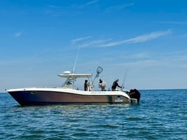 Fernandina Beach Full Day