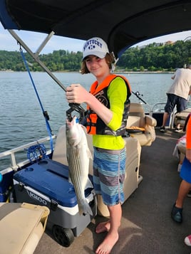 East Lake Cumberland Striped Bass