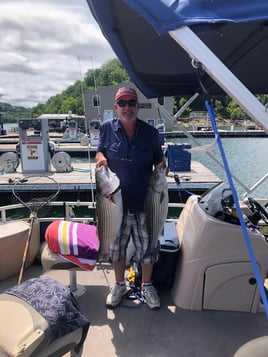 East Lake Cumberland Striped Bass