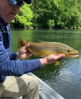 WATAUGA RIVER FLY FISHING