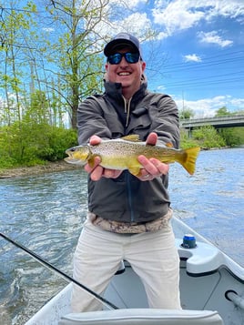 Brown Trout Fishing in Halls Crossroads, Tennessee
