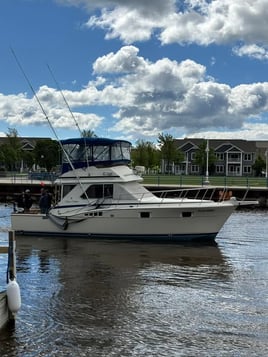 Sheboygan Lake Michigan Fishing