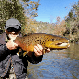 North Carolina Wade Trip