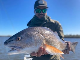 The Best Fly Fishing New Orleans