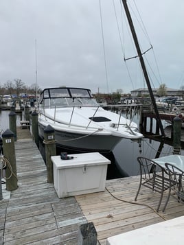 Lake Michigan Trolling Trips