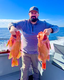 Full Day Charter - Rock Fish / Ling Cod Combo