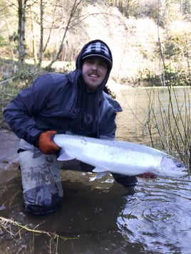 Winter Steelhead on the Siletz