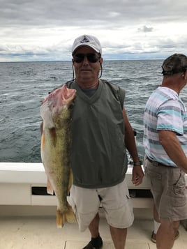 3/4 Day - Full Day Trip