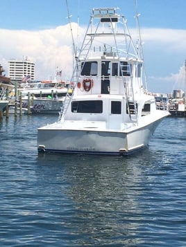 Offshore Fishing Trip Destin